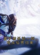 《妻子被杀前一刻，我从仙界归来