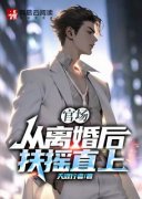 抖音官场：从离婚后扶摇直上by天涯