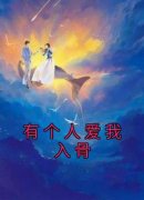 有个人爱我入骨主角是莫晓晓叶瑾