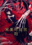 宋美可陆宗阳小说最后结局  宋美可