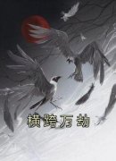 至高空丶破零点的小说《横跨万劫