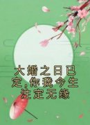 苏央祁云川《大婚之日已定,你我今