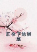《红衣下的夙愿》顾鸢萧元淮无广
