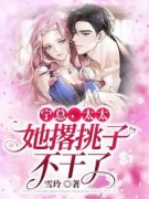 宁总，太太她撂挑子不干了完整版