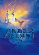 《失忆后让赘婿老公净身出户》沈