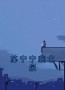 苏宁宁裴北泉是哪部小说的主角 苏