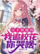 主人公林辰何曼曼小说分手你提的