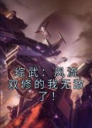 免费完结小说《综武：风流双修的