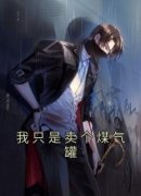 我只是卖个煤气罐全集小说_林逸许