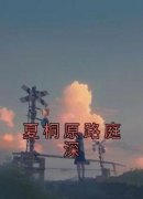 值得熬夜看完的夏桐原路庭深小说