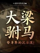 书荒必备《大梁驸马,替身界的泥石