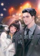 陆织许谢白屿小说《陆织许谢白屿