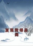好看的夏落微傅星澜小说-夏落微傅