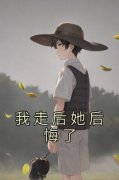 我走后她后悔了小说(连载文)-孟泽