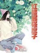 主角贾琮林黛玉小说完整版最新章