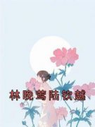 林晚莺陆钦越小说百度云完整章节