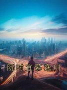 阮时宜慕逸川(佚名)最佳创作小说全
