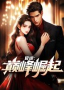 官途：巅峰崛起(风流小二)最佳创作