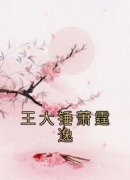 无广告小说王大锤萧霆逸-王大锤九