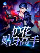 护花贴身高手(陈光秦漠雪)全文完整