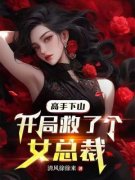 新书推荐《高手下山，开局救了个