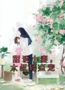甜诱小妻，大叔轻点宠小说(完结