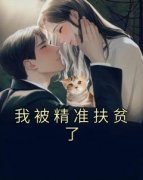 好书推荐《我被精准扶贫了》徐恋
