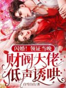 《江晚为了报复渣男》江晚陆辞年