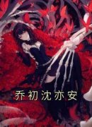 乔初沈亦安在线全文阅读-主人公乔