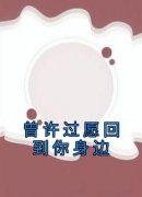 佚名最新小说《曾许过愿回到你身