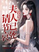 精品小说段总，夫人已死请节哀全