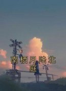 【新书】《南栖月陆北庭》主角南