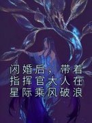 作者洲北写的闪婚后，带着指挥官