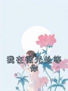 百度贴吧小说我在微光处等你，主