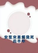 爆款小说《安笙宋思燃我死后半年