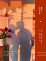 小说《婚姻这座城》在线全文阅读