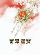 抖音春棠追妻by佚名在线阅读