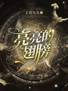 亮亮的翅膀主角是诸亮胡晓霞小说