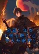 《苏洛闫敏》主角小说盗墓：年岁