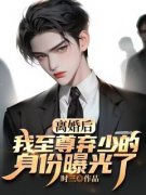 离婚后：我至尊弃少的身份曝光了