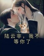 最完整版陆云非，我不等你了热门