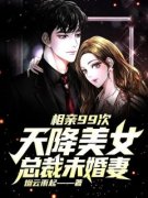 熬夜也要看完的相亲99次，天降美女