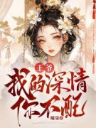 快手王爷，我的深情你不配！小说