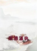 抖音爆款顾锦温执小说免费阅读