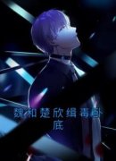 魏和楚欣缉毒卧底小说(完整版)-魏