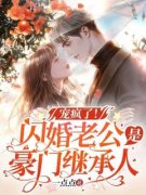 作者一点点写的豪门甜宠：闪婚老