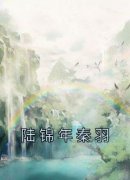 主角秦羽陆锦年小说完整版最新章