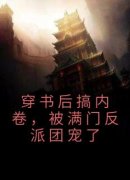 爆款小说由作者楼浅浅所创作的穿