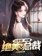 《叶枫杨倩倩》主角小说分手后，