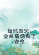 免费完结小说《海难那天，金丝雀